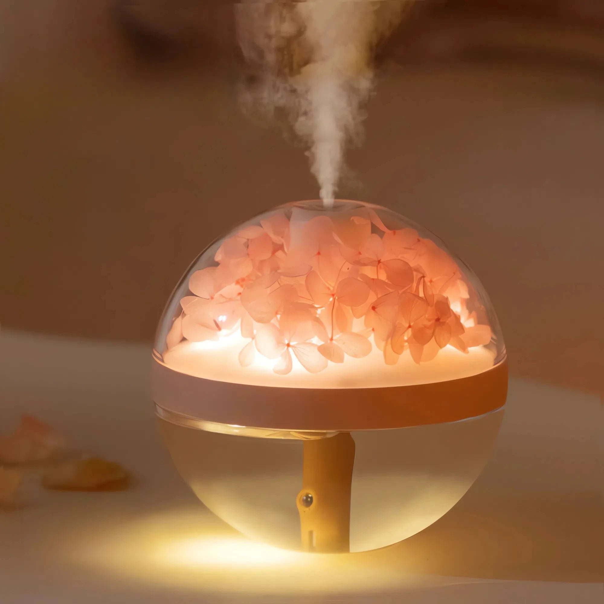 Humidificateur d'Air avec des Fleurs Eternelles